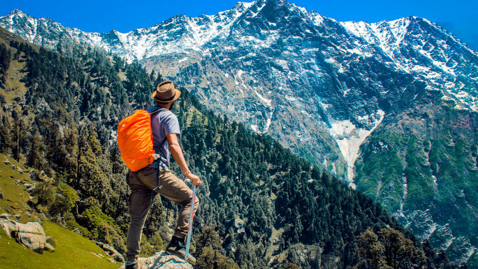 Trekking w górach z plecakiem i kijkiem – idealna koszulka na szlak.